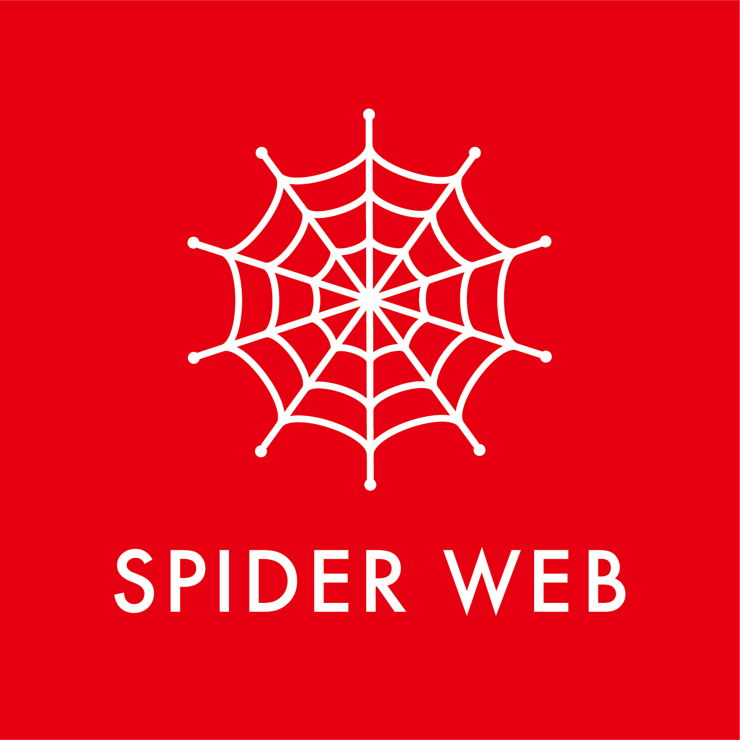 SPIDER WEB logo